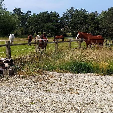 Le Gite De La Ferme Portbail Zewnętrze zdjęcie