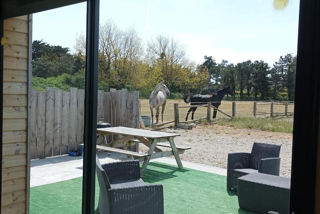 Le Gite De La Ferme Portbail Zewnętrze zdjęcie